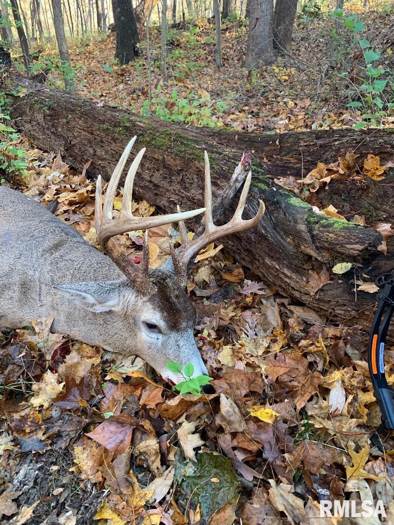 14138 Boyscout Trail