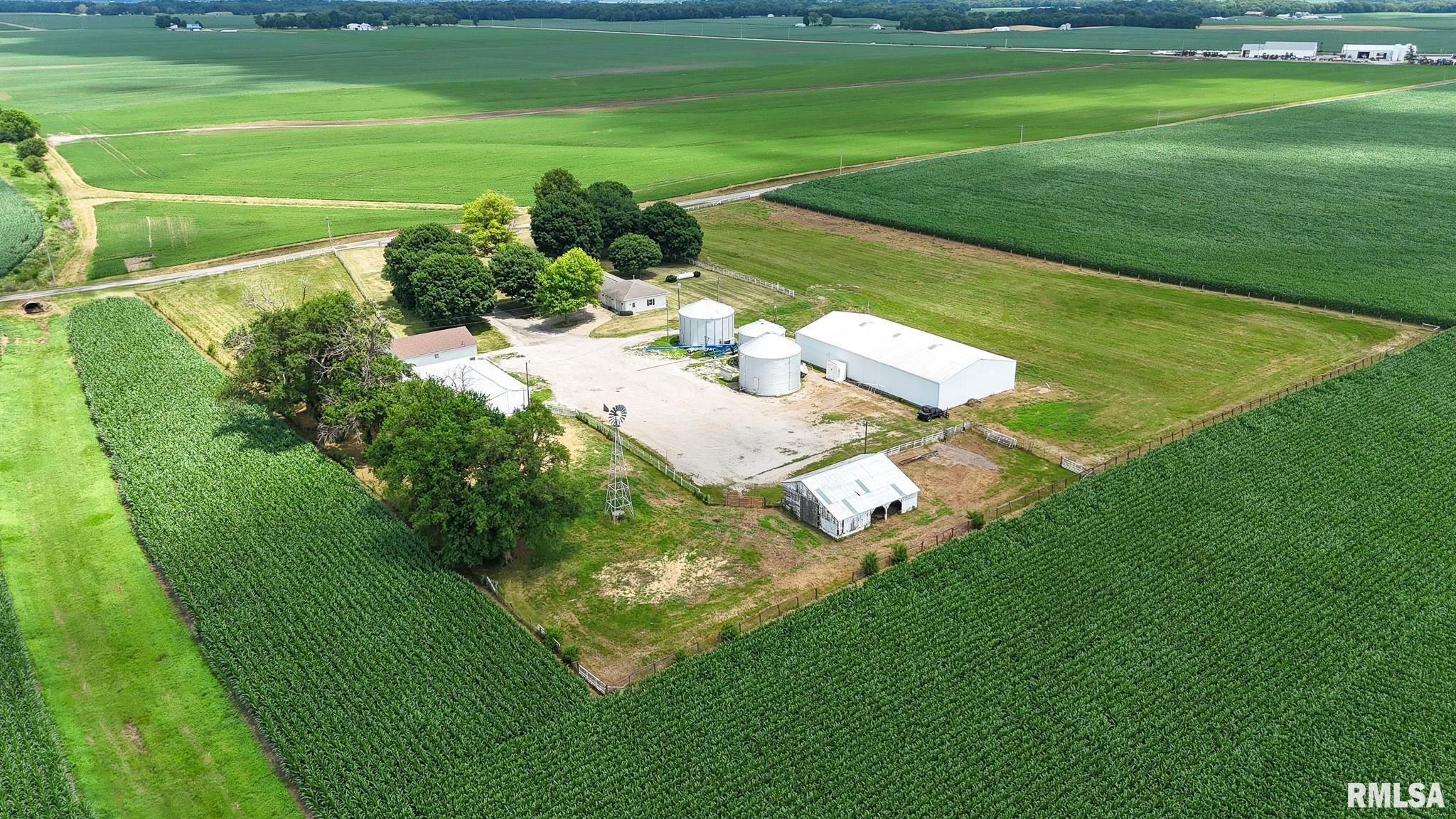 24019 Jellystone Avenue