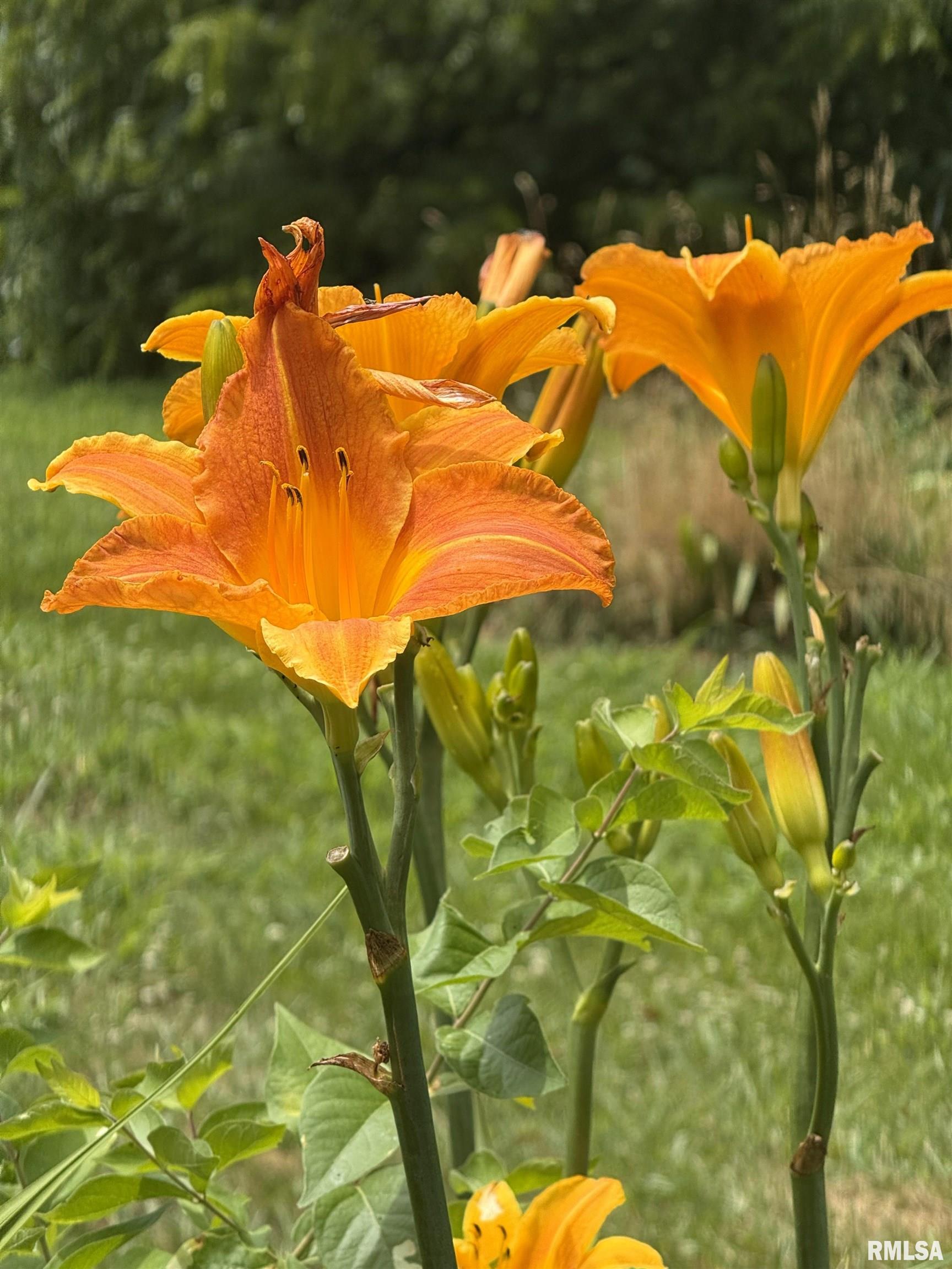 15234 State Highway 123 Highway