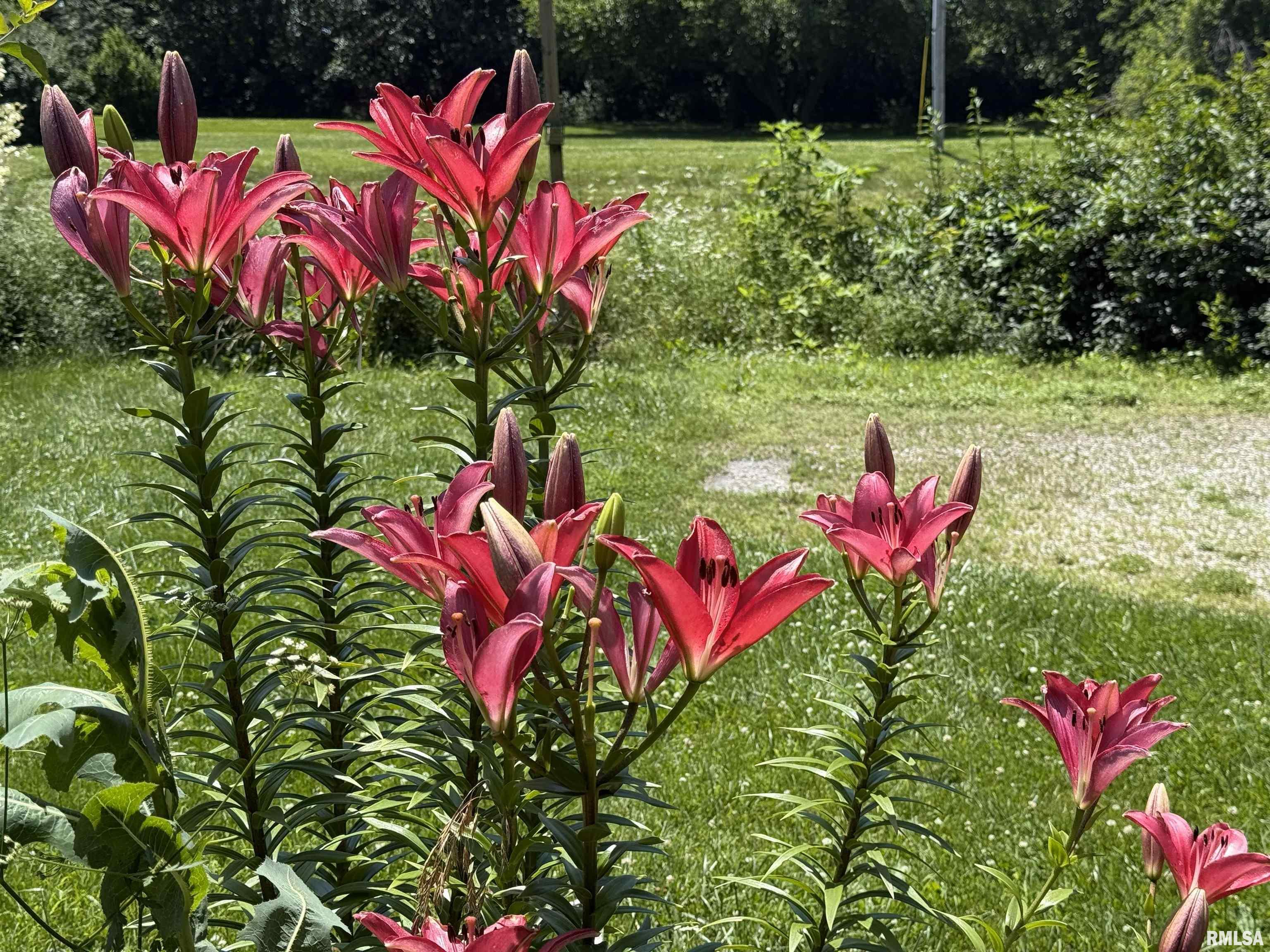 15234 State Highway 123 Highway