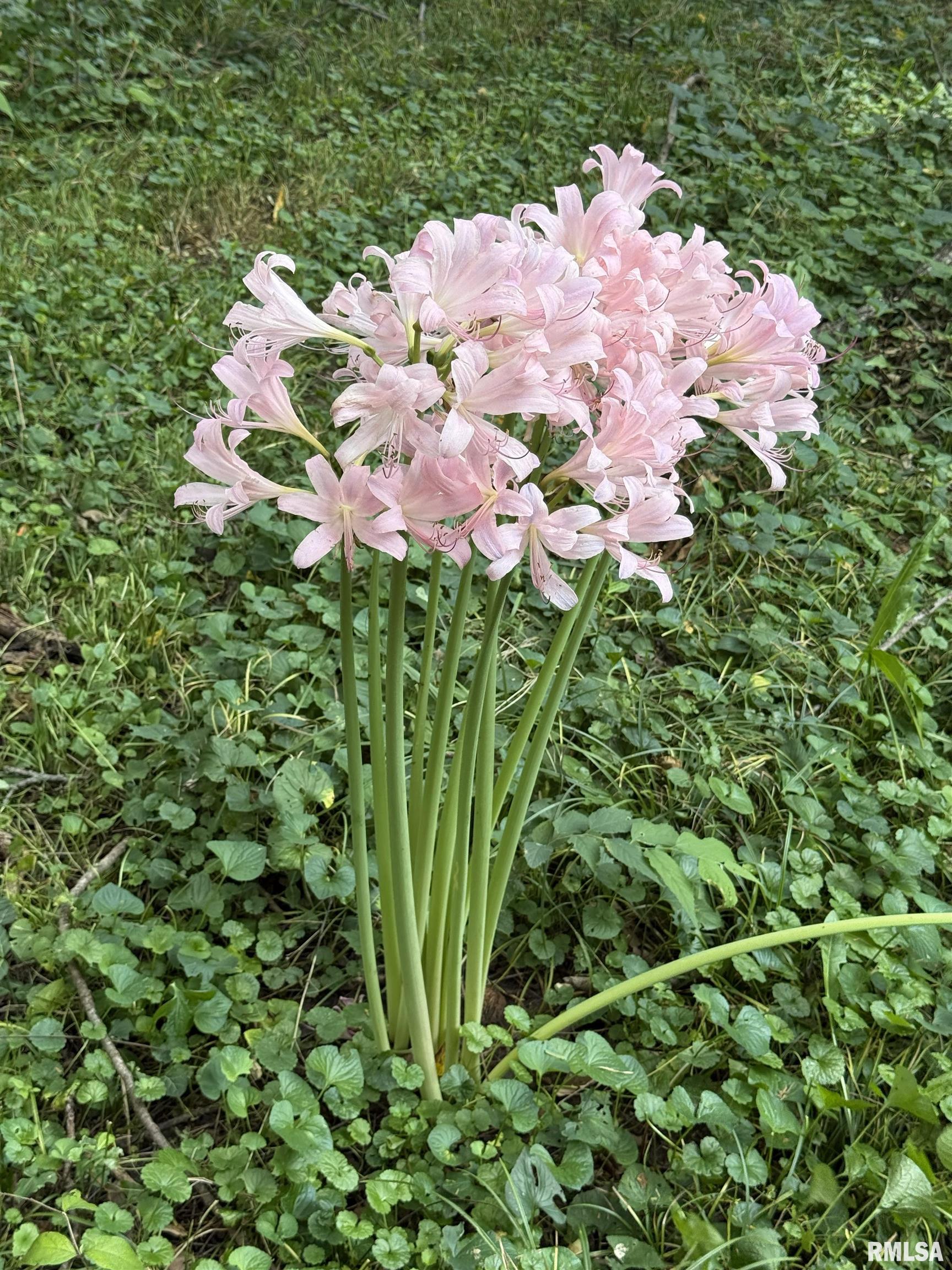 15234 State Highway 123 Highway