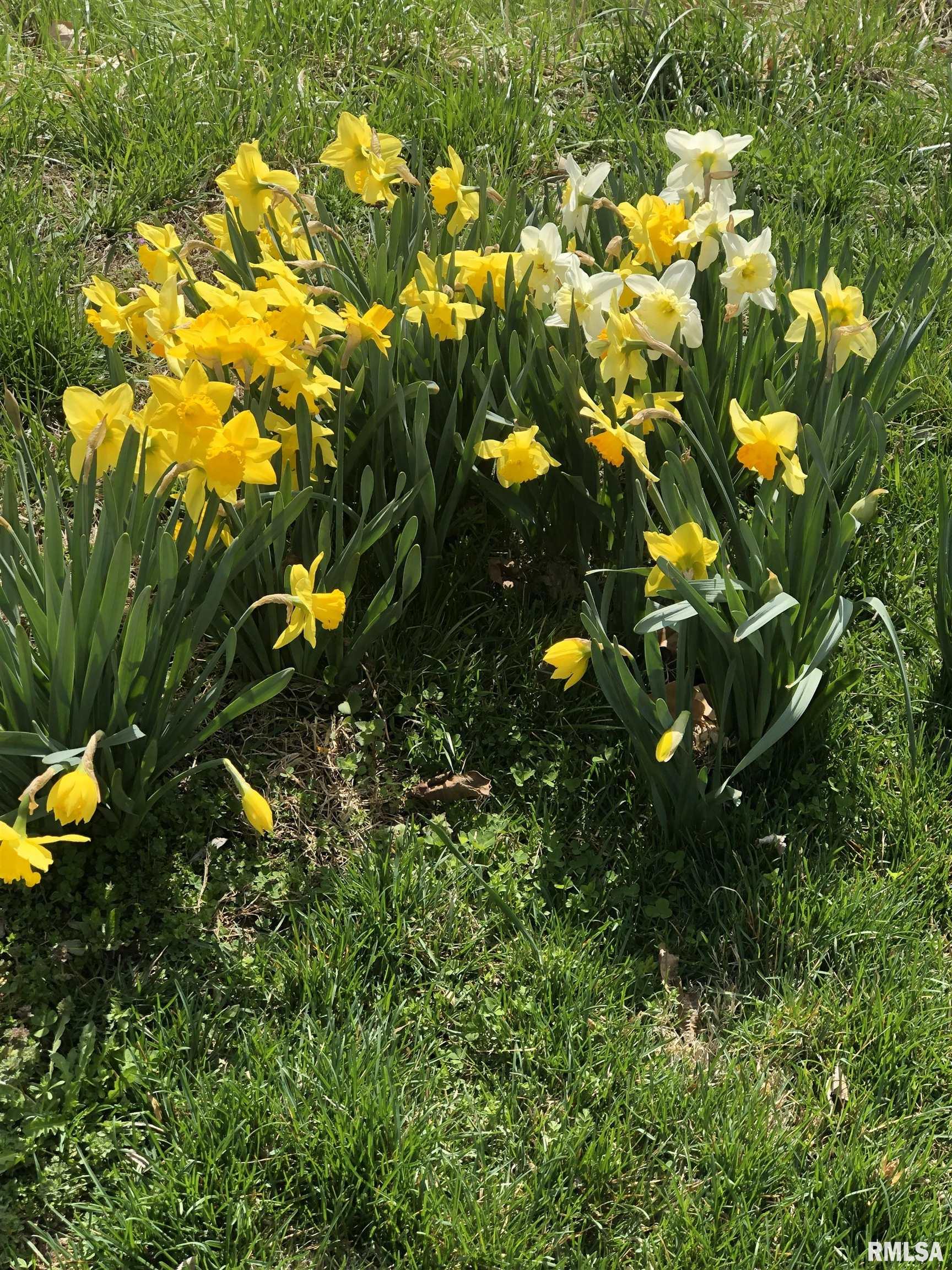 15234 State Highway 123 Highway