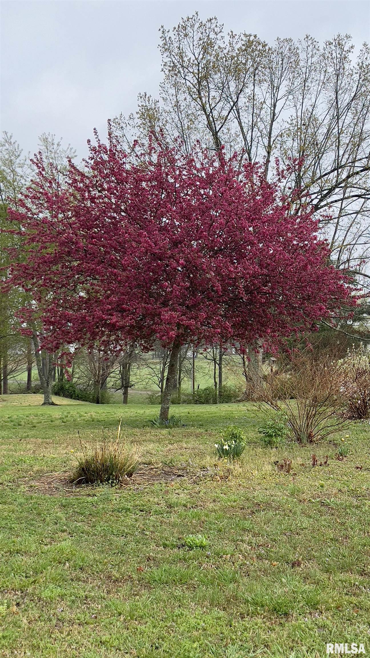 15234 State Highway 123 Highway