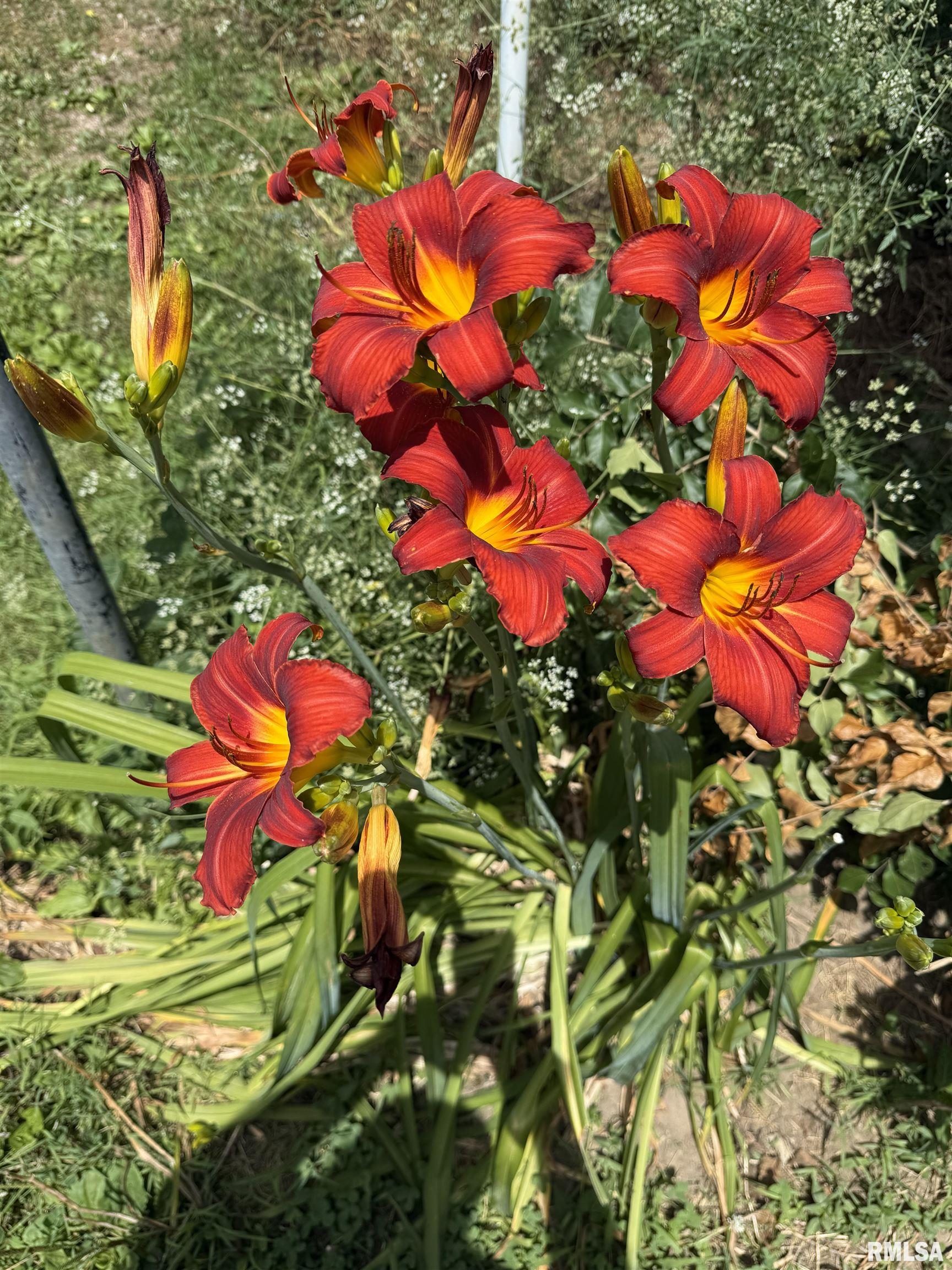 15234 State Highway 123 Highway