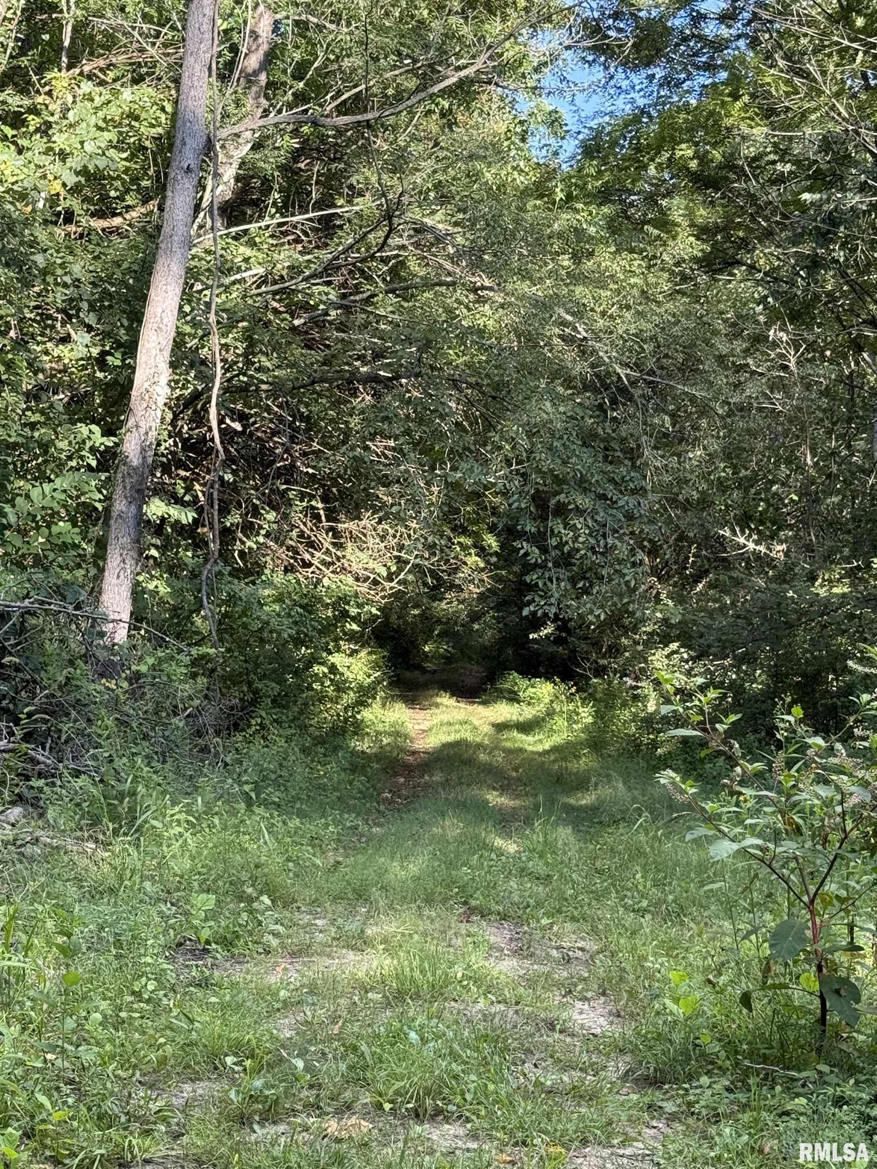 12110 Dutchman Road