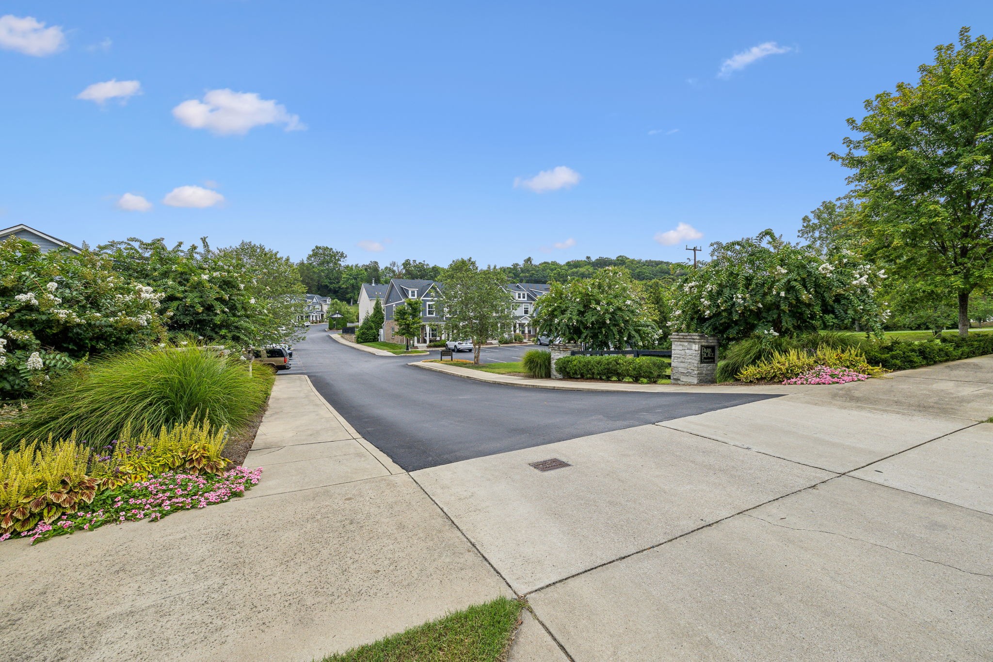 1129 Lilly Valley Way