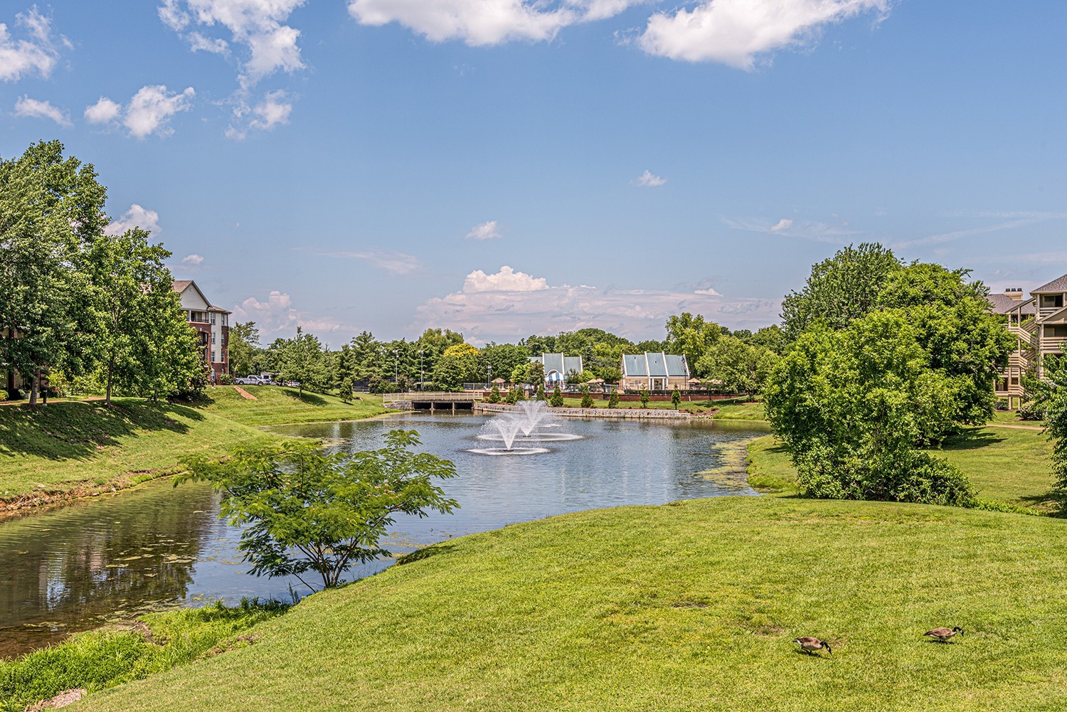 209 Ashlawn Ct Unit: 209