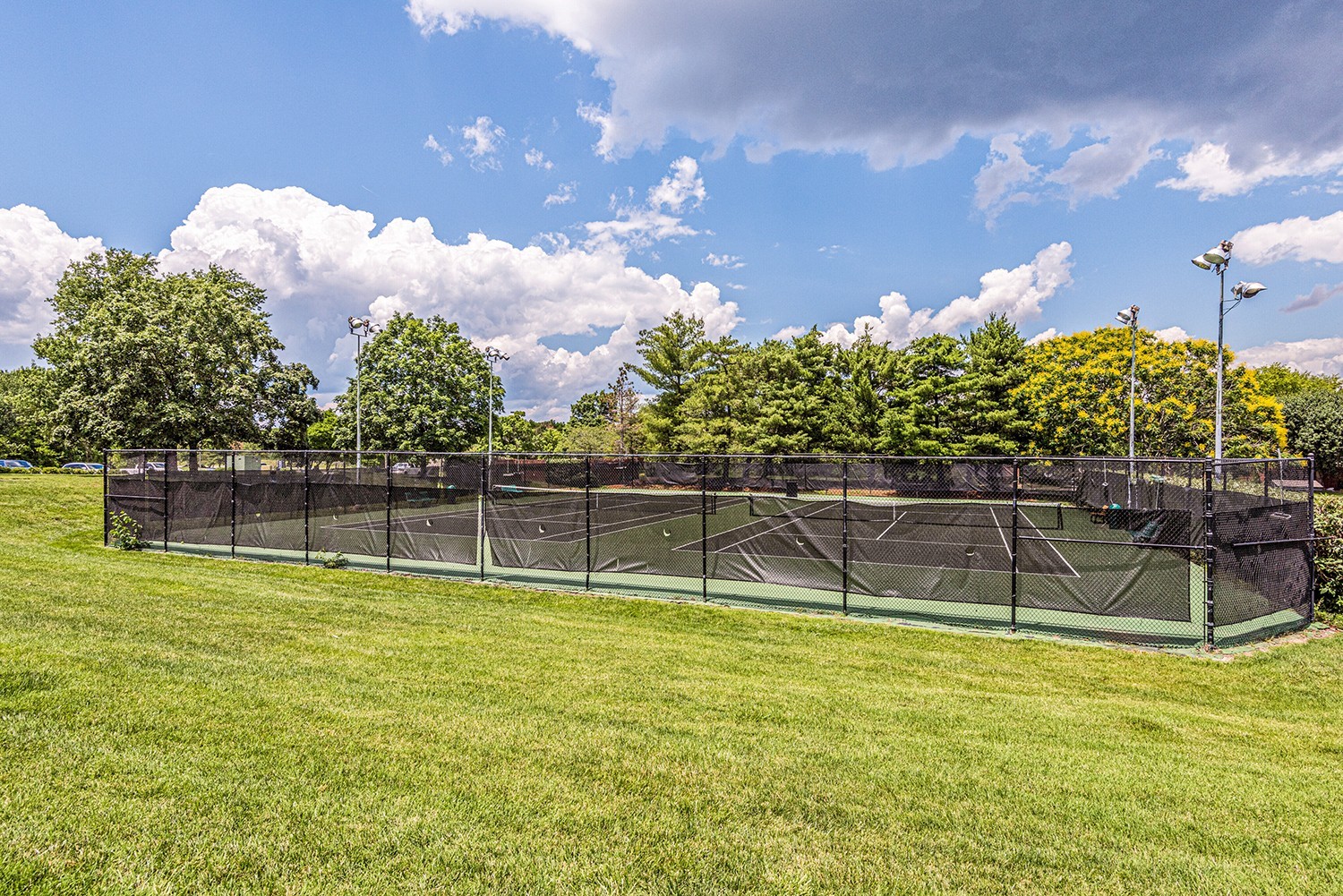 209 Ashlawn Ct Unit: 209