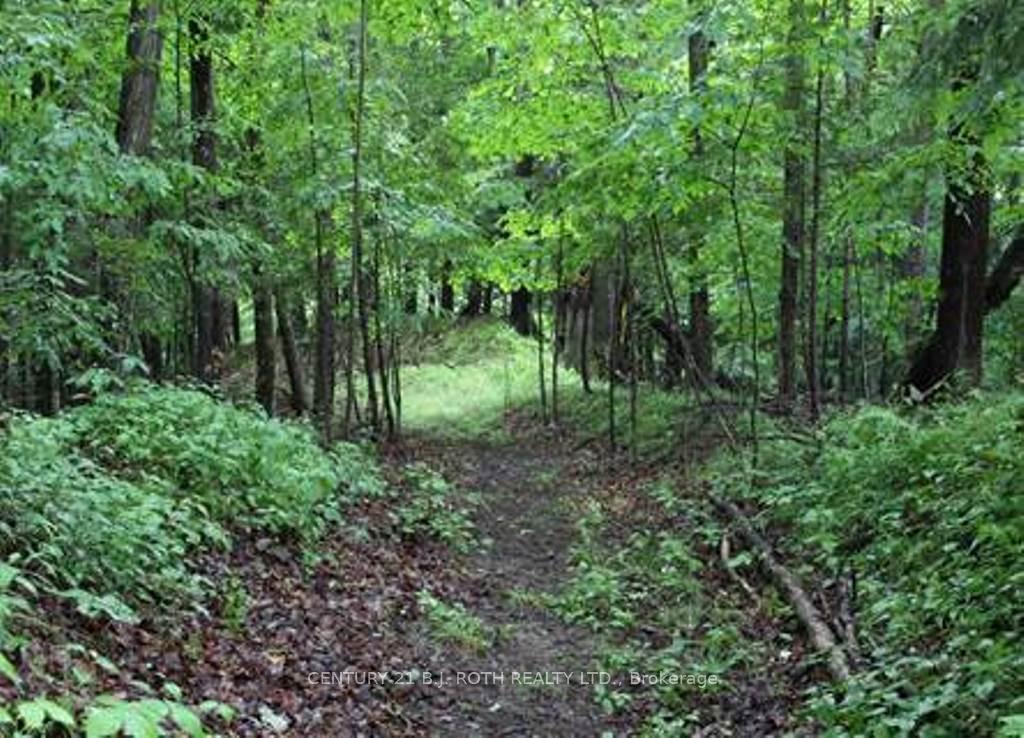 7 Fern Lane