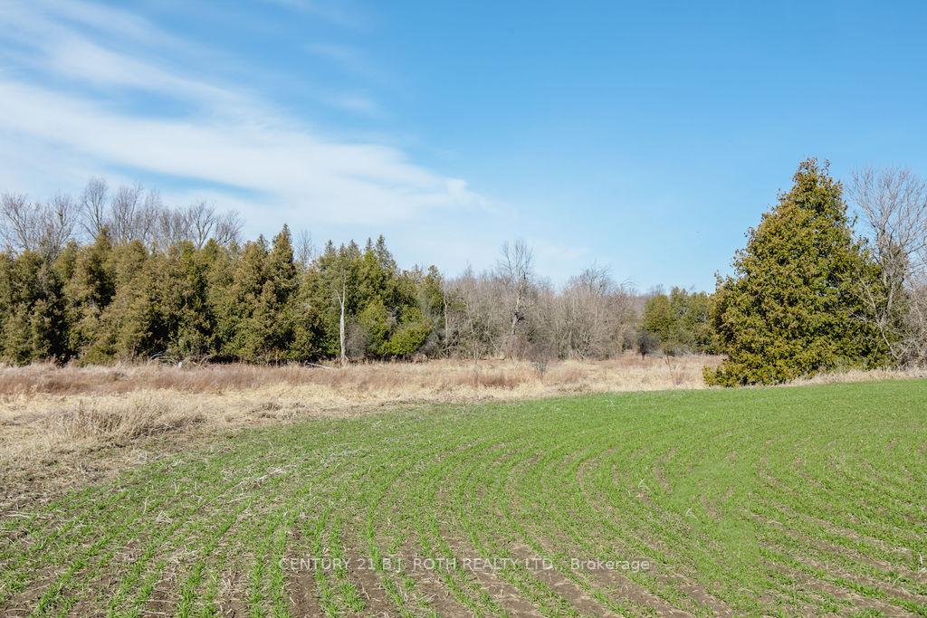7468 25th Side Road