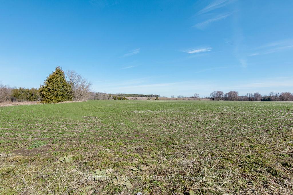 7468 25th Side Road