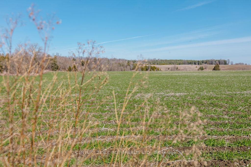7468 25th Side Road