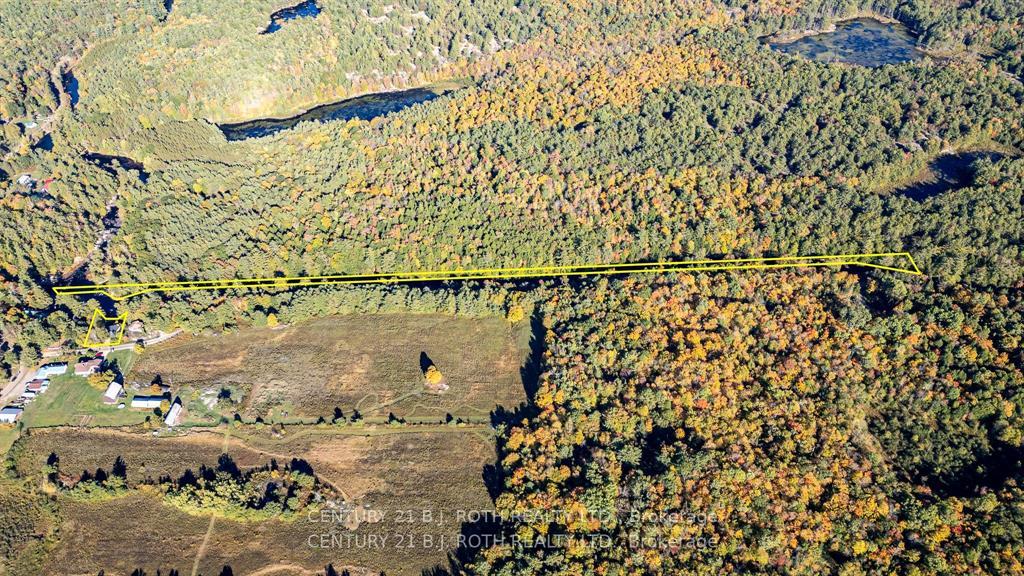 8101 Kings River Road