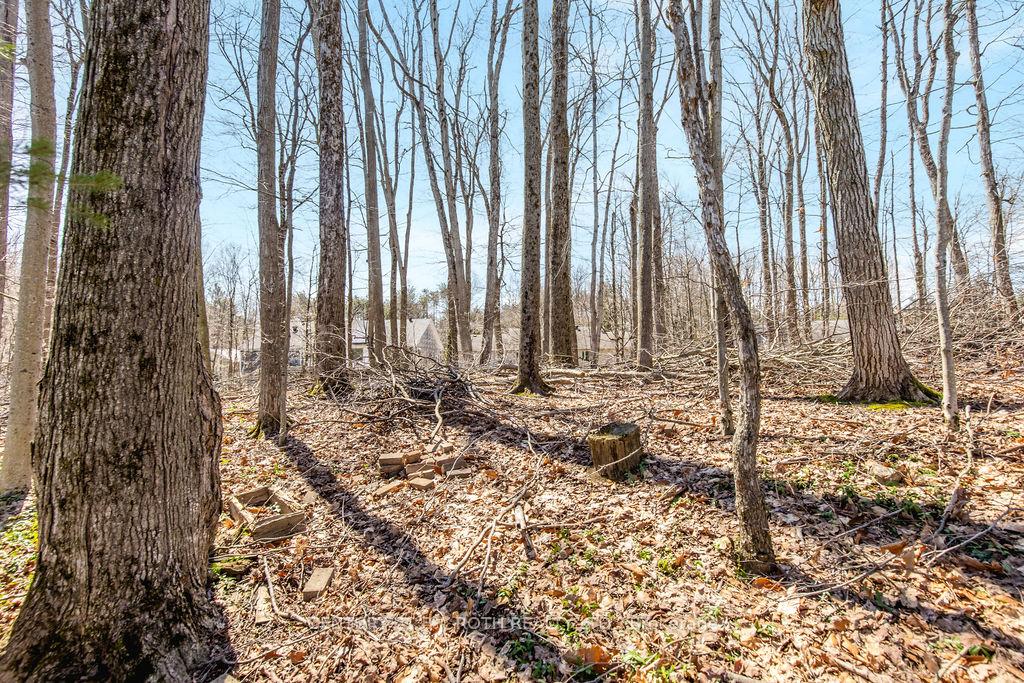 15 Sugarbush Road
