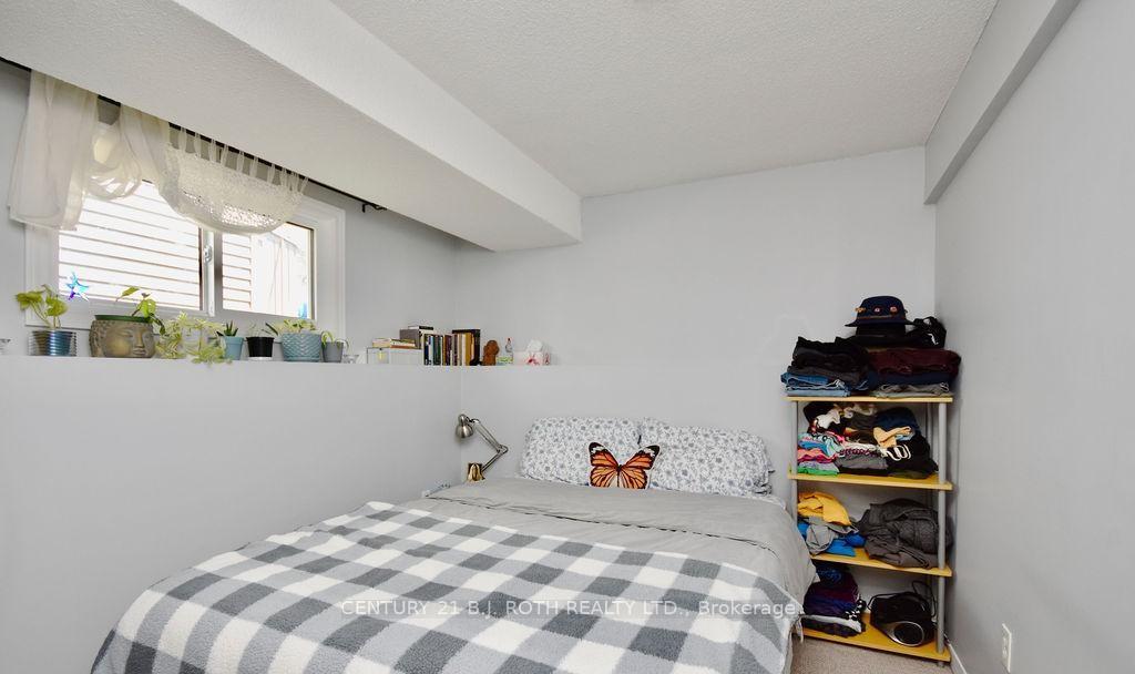 47 D'ambrosio Drive
