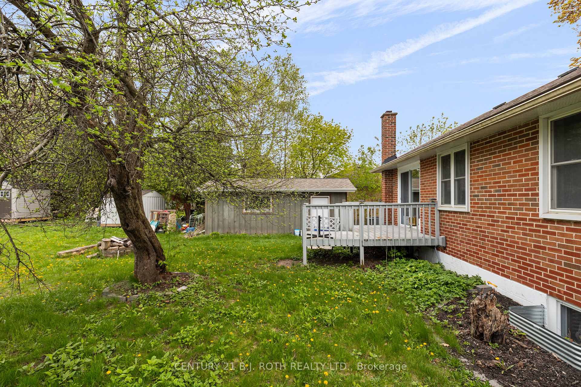 243 Wellington Street E Lower Level