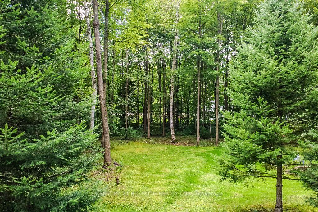 2604 The Birches Road