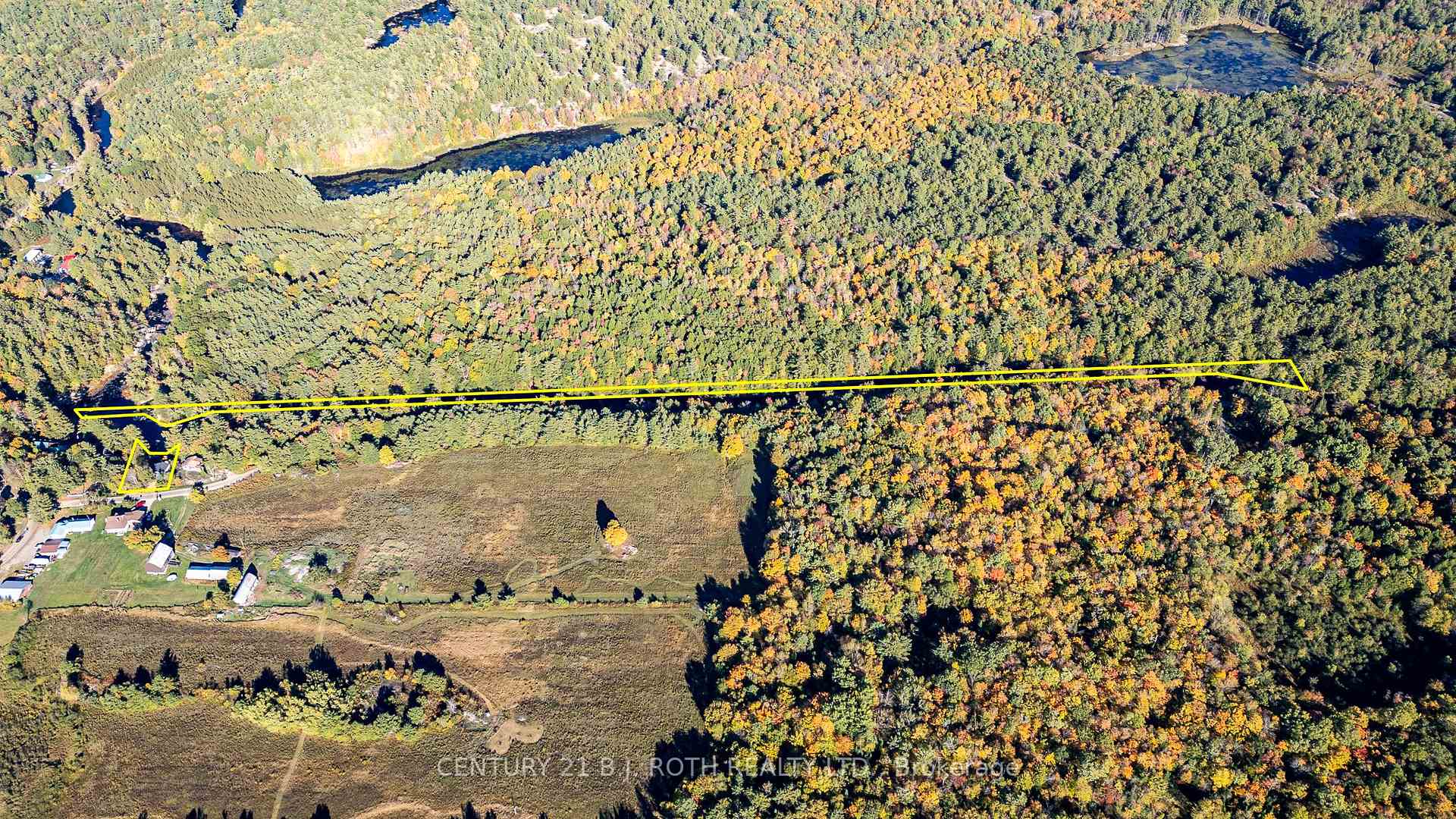 8101 Kings River Road