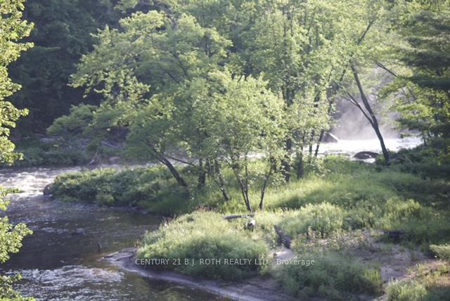 8101 Kings River Road