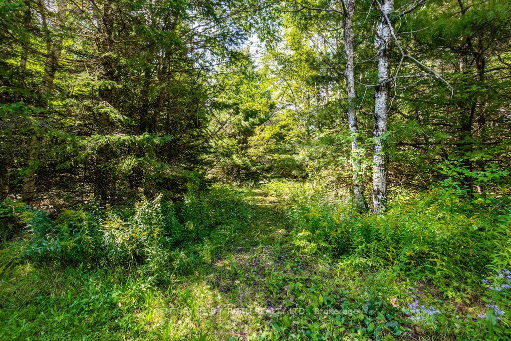 1327 Monck Road