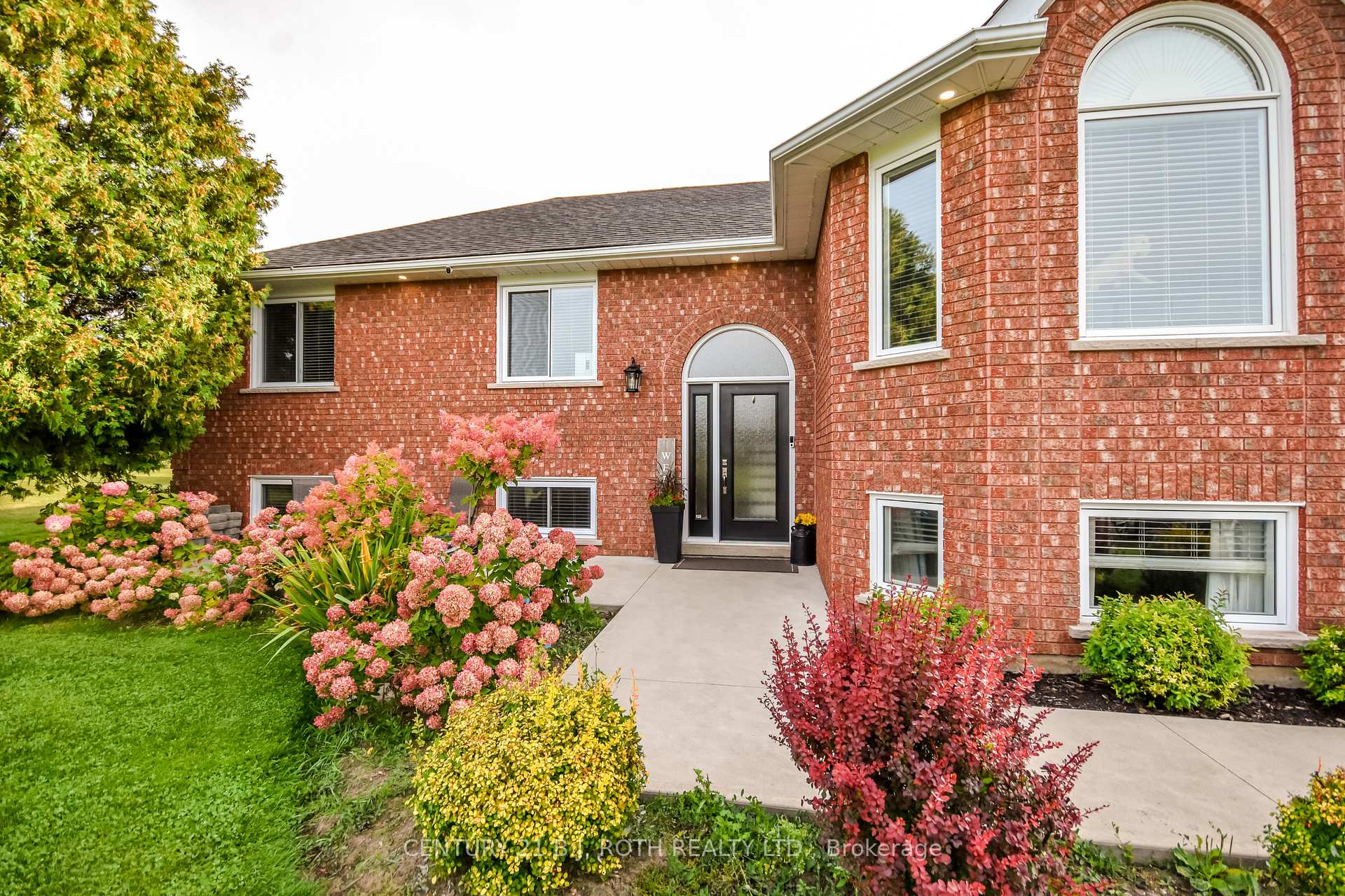 7 ORSI Drive