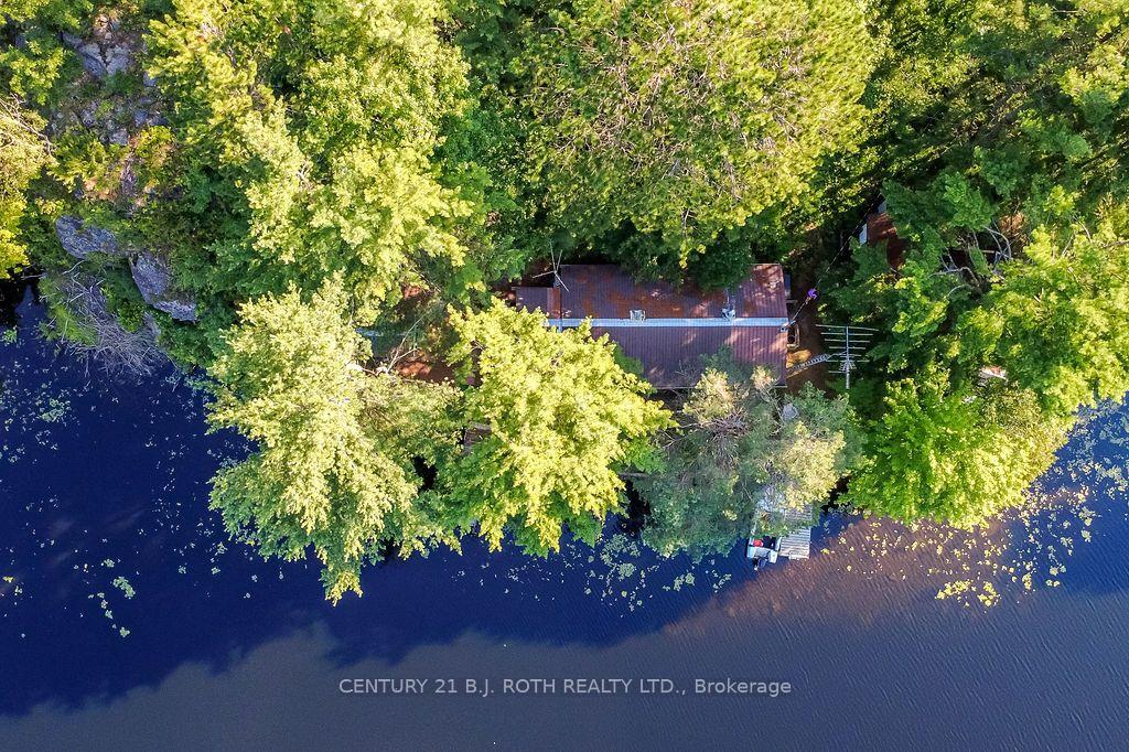 11107 DEVILLS LAKE Road