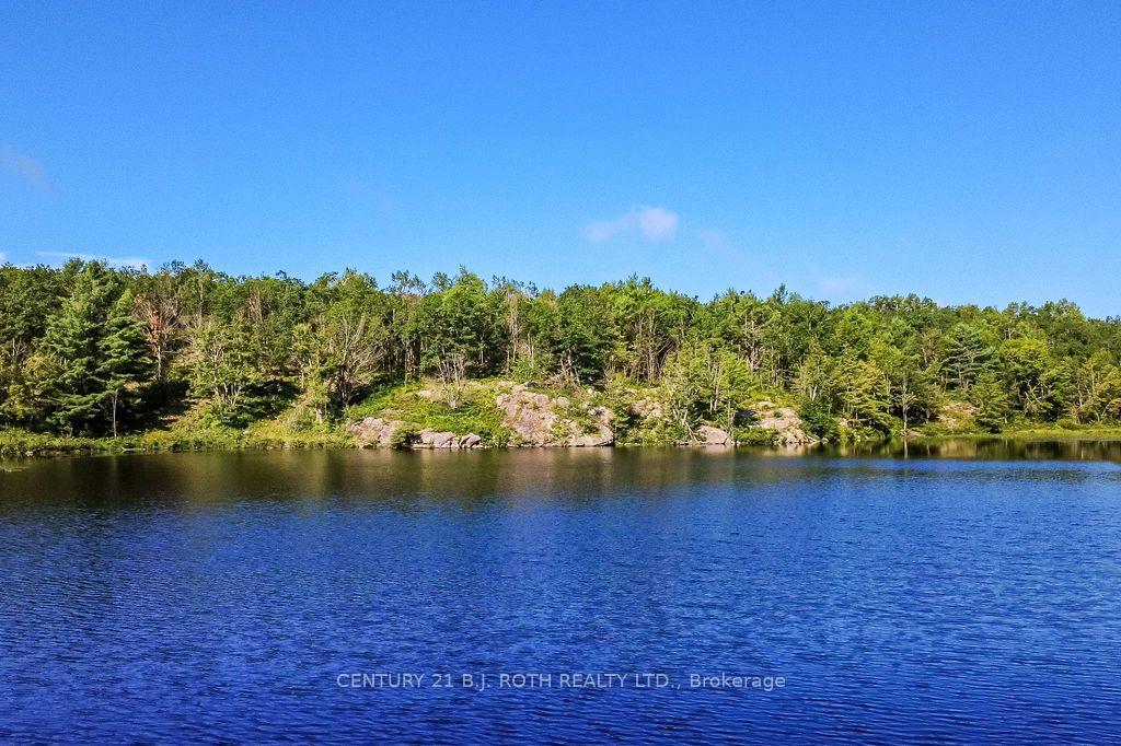 11107 DEVILLS LAKE Road