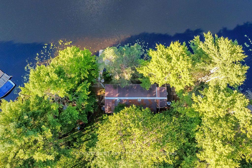 11107 DEVILLS LAKE Road