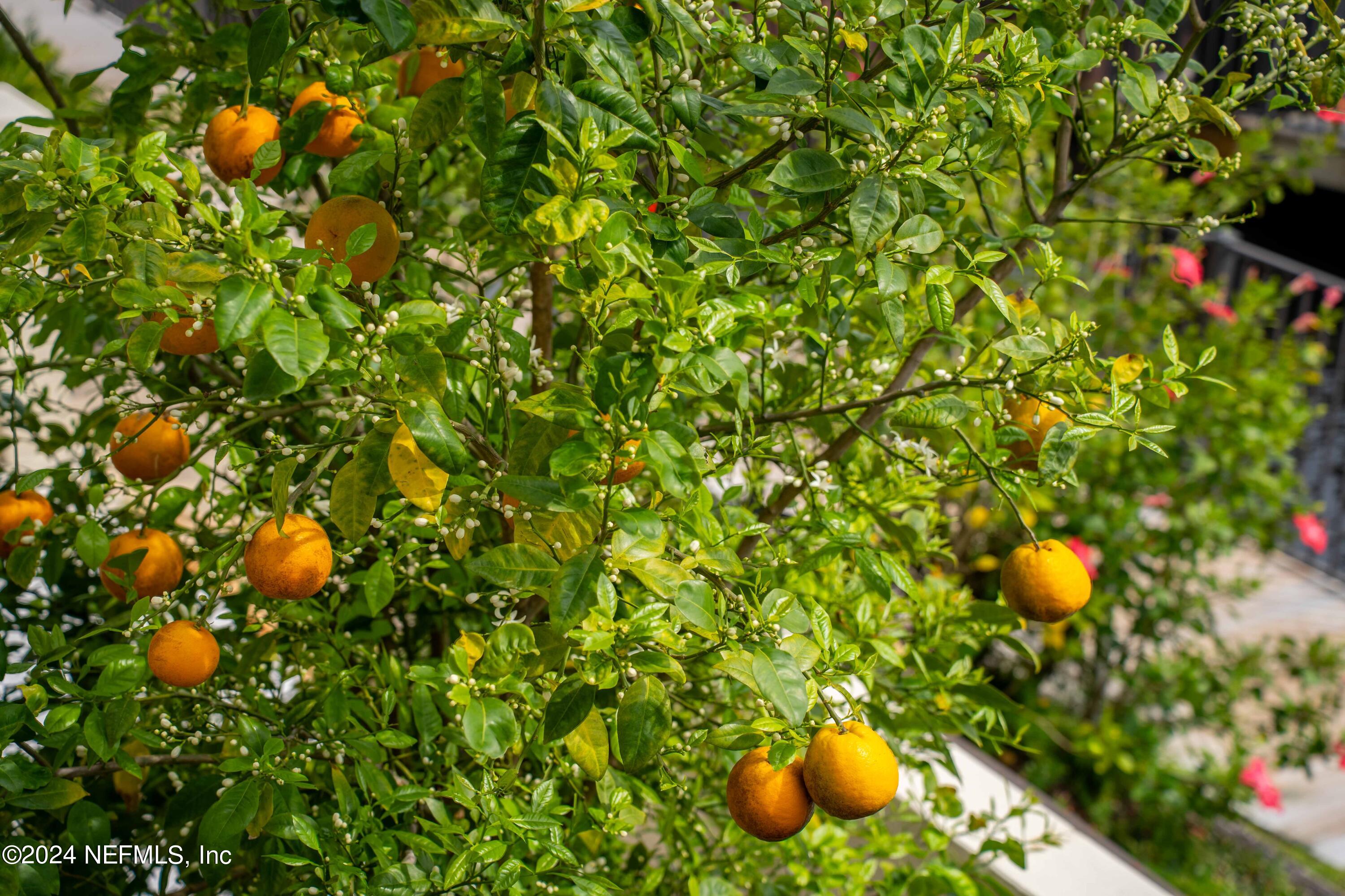 850 A1A BEACH Boulevard, 122, St. Augustine Unit: 122