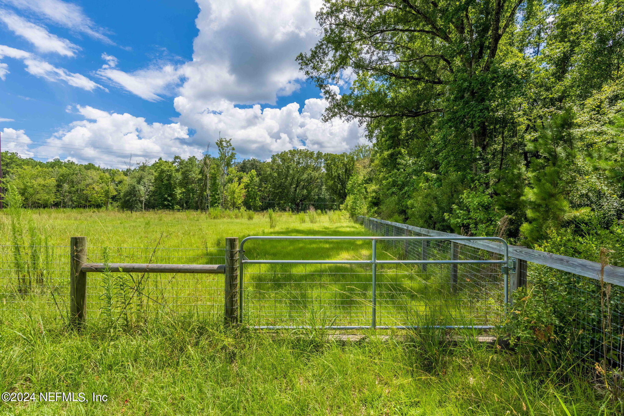 4254 FALCON RUN Lane