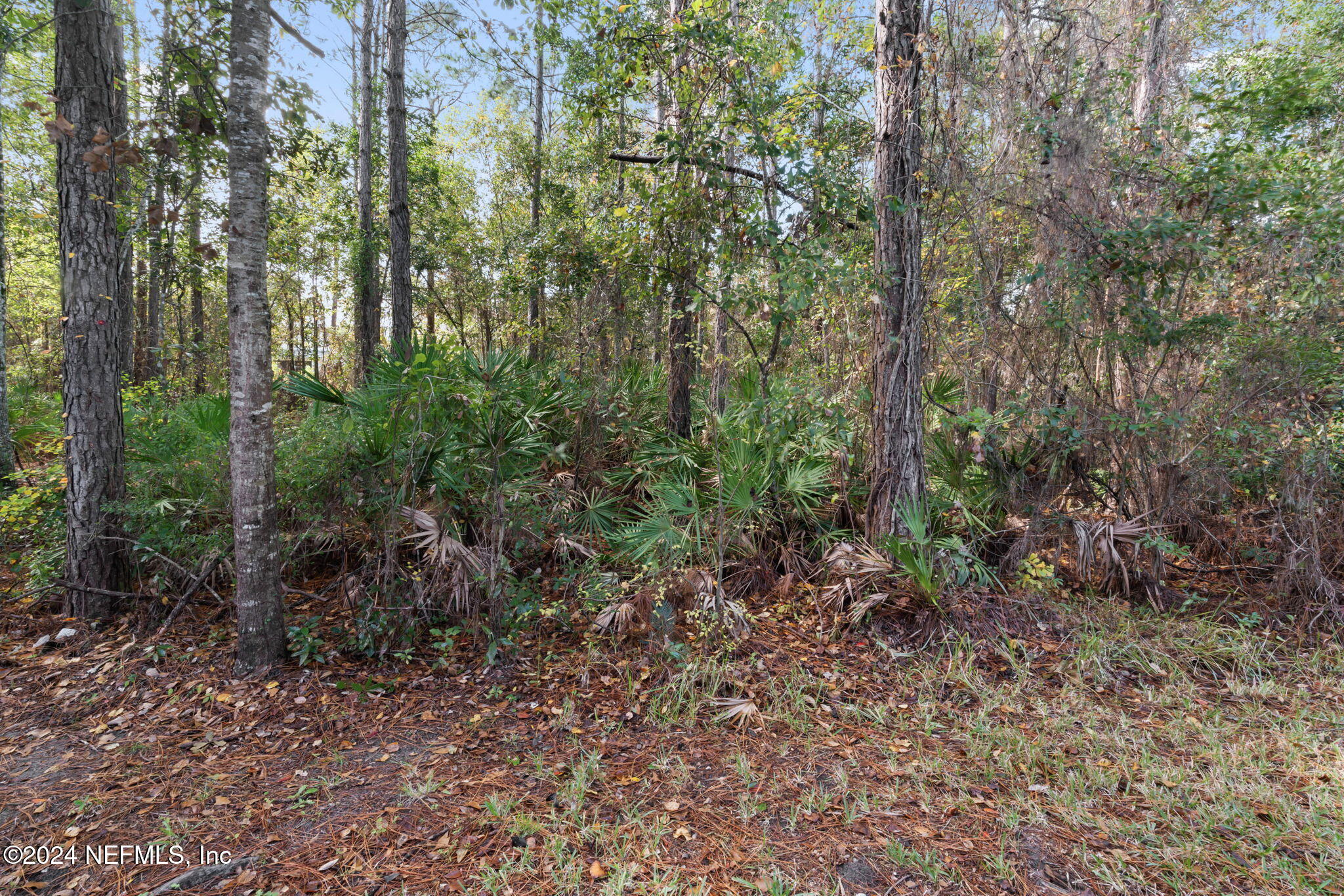 3530 SUMMERLIN Lane N