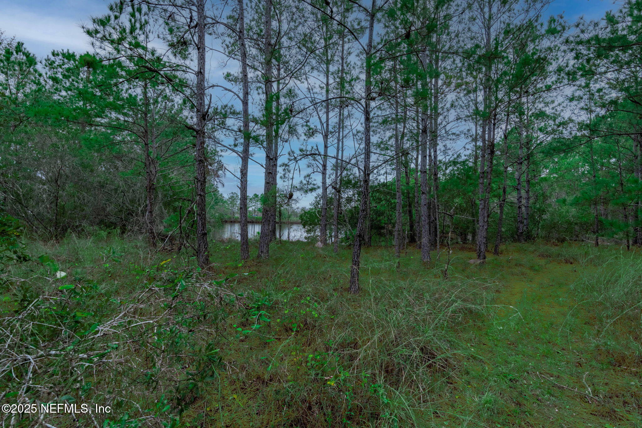 5705 COUNTY ROAD 208, St. Augustine