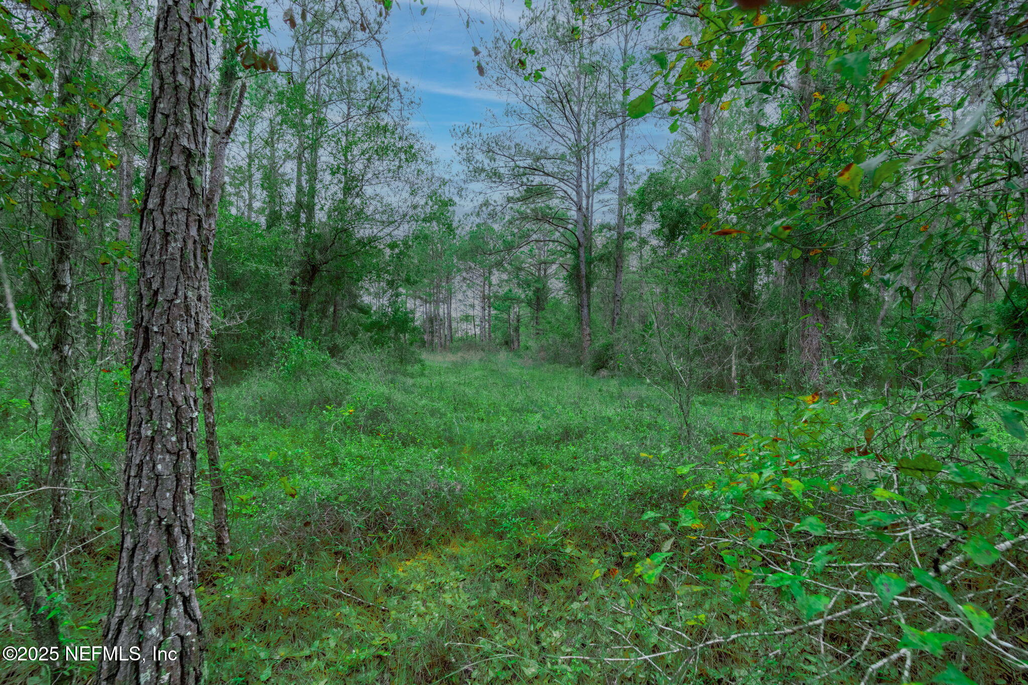 5705 COUNTY ROAD 208, St. Augustine