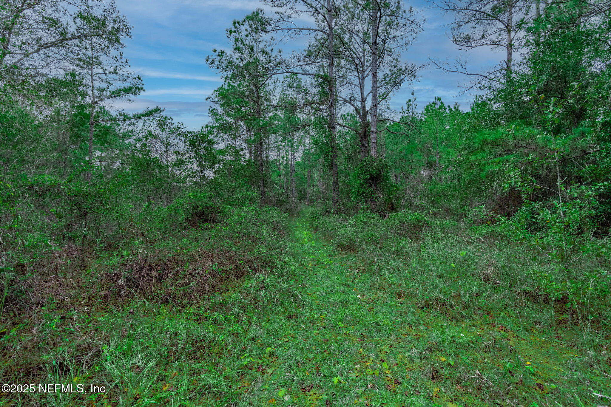 5705 COUNTY ROAD 208, St. Augustine