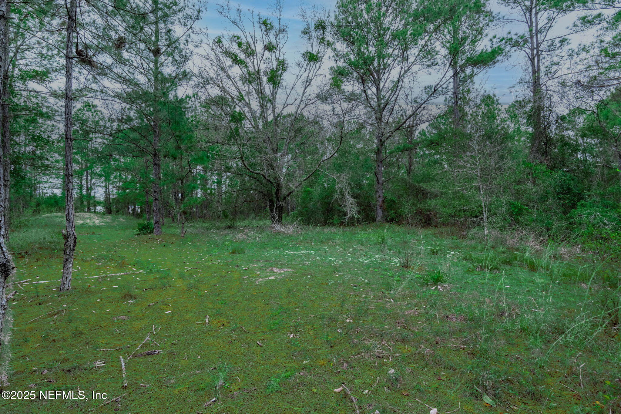 5705 COUNTY ROAD 208, St. Augustine