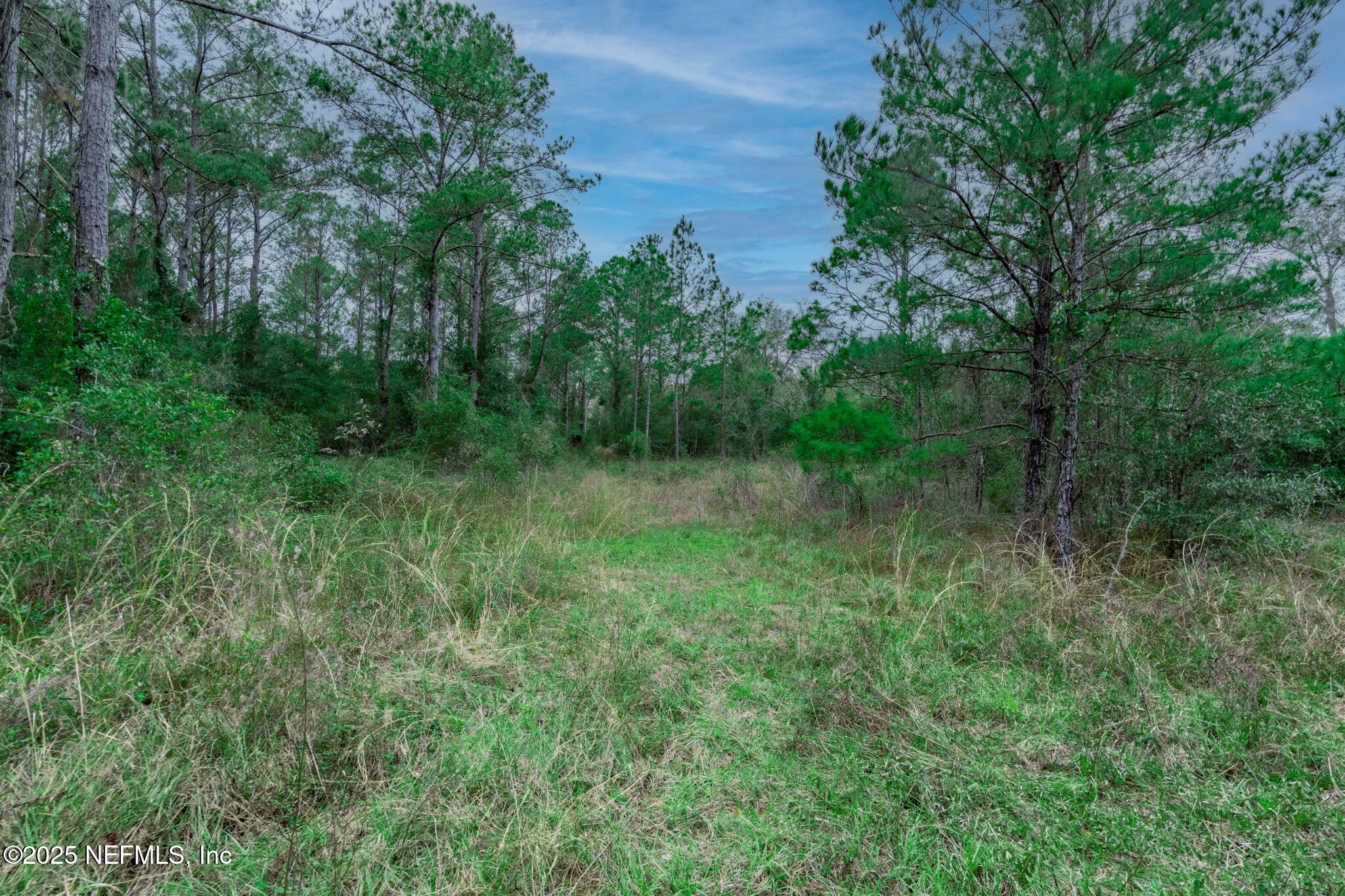 5705 COUNTY ROAD 208, St. Augustine