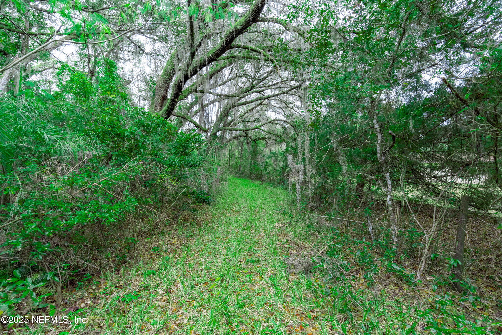 5705 COUNTY ROAD 208, St. Augustine