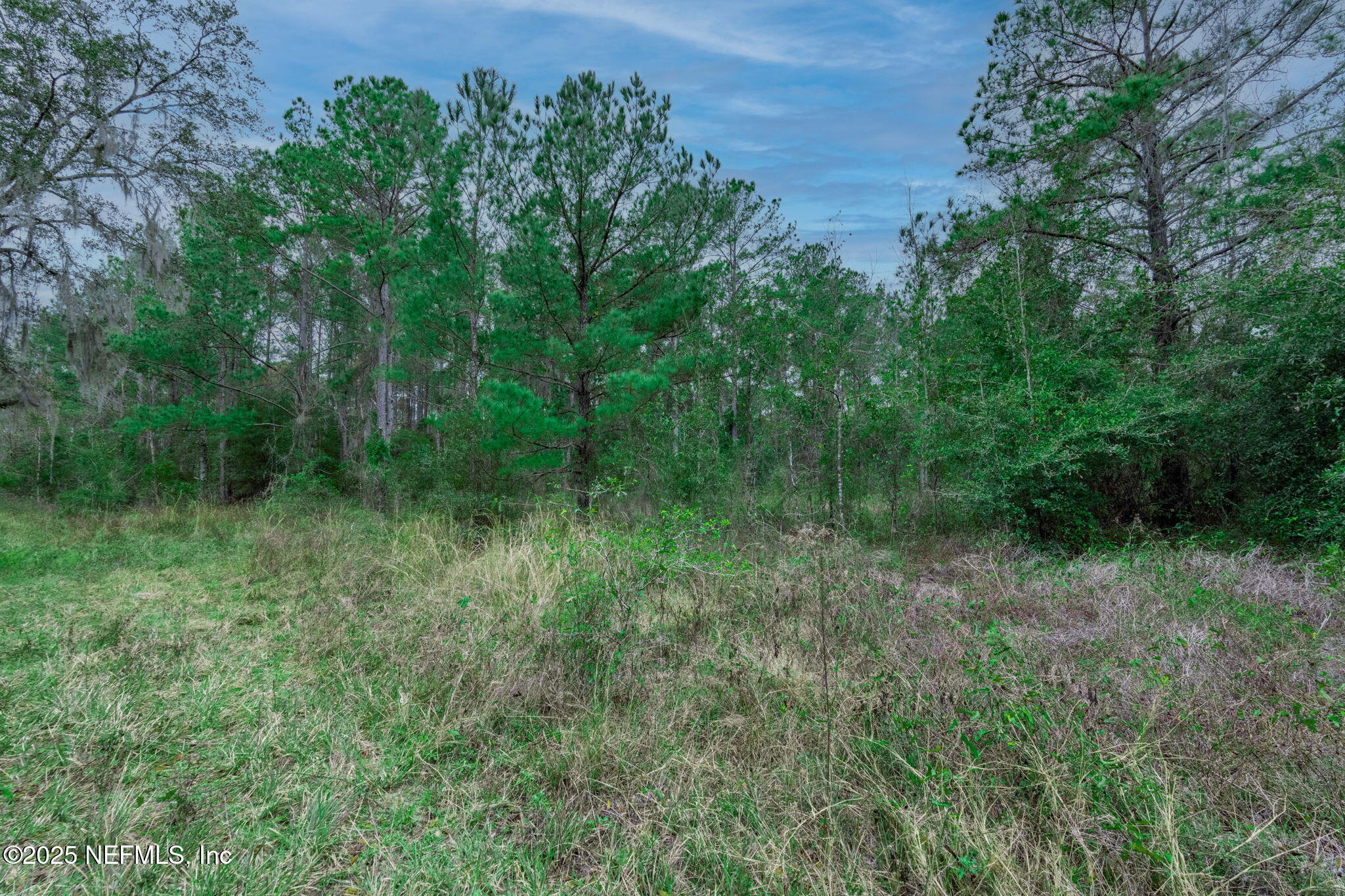 5705 COUNTY ROAD 208, St. Augustine
