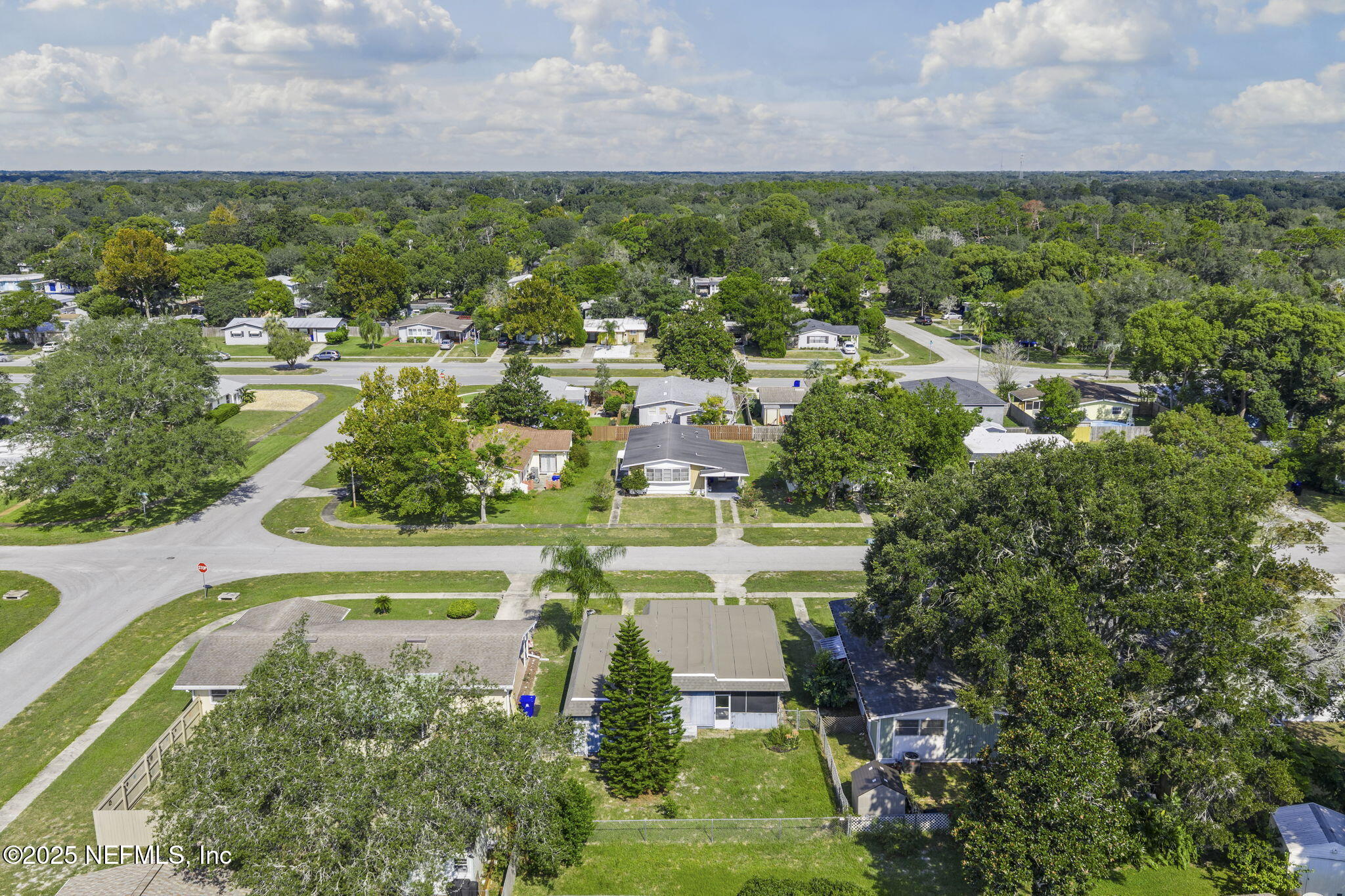 163 PHOENETIA Drive, St. Augustine