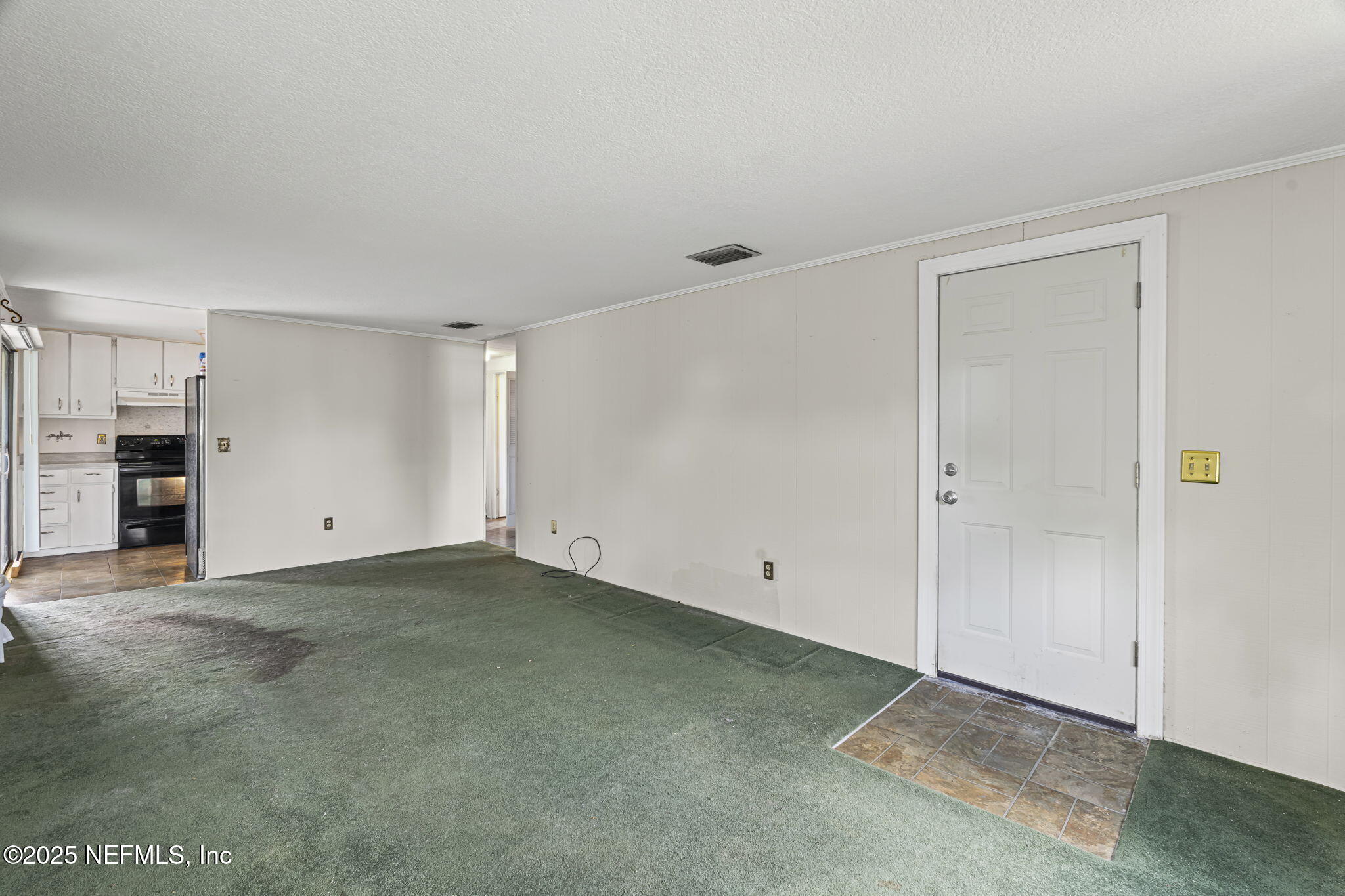 163 PHOENETIA Drive, St. Augustine