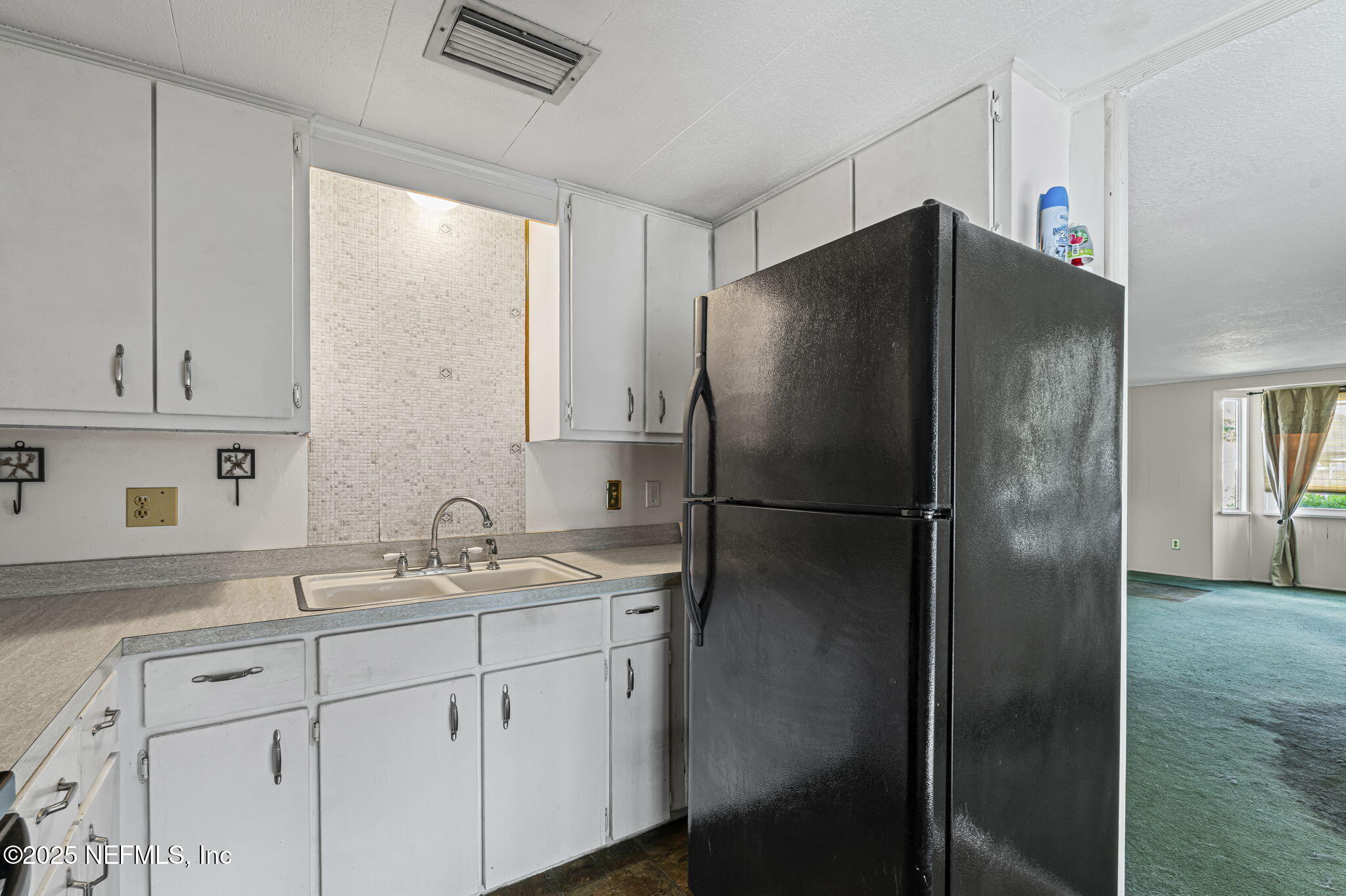 163 PHOENETIA Drive, St. Augustine