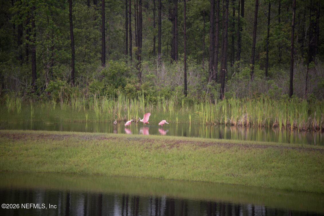 239 BLUE CYPRESS Trail, St. Augustine