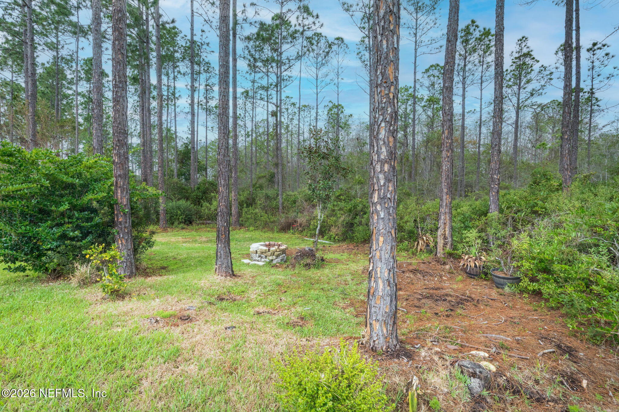 9936 PAVNES CREEK Drive