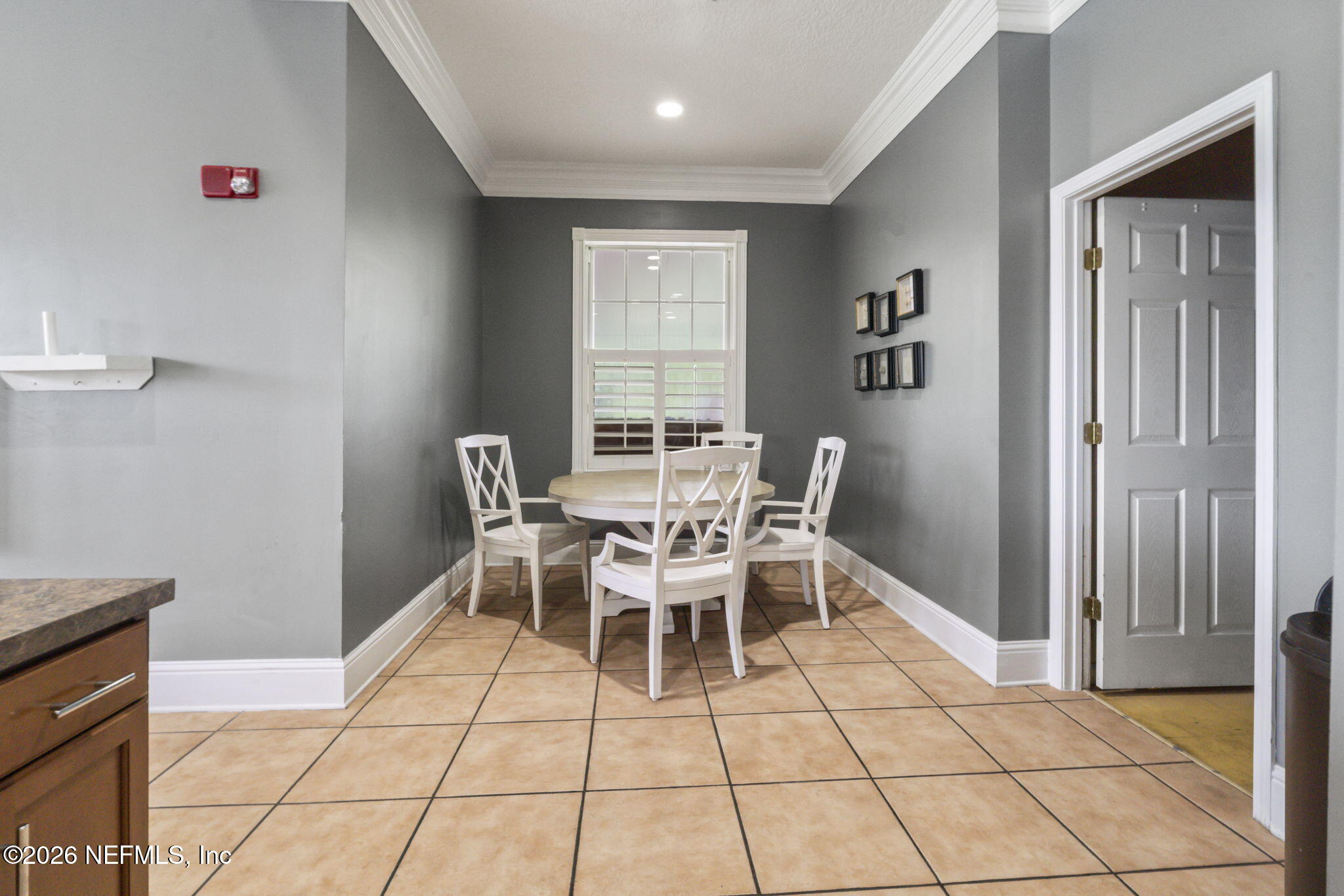 8218 GREEN PARROT Road 105