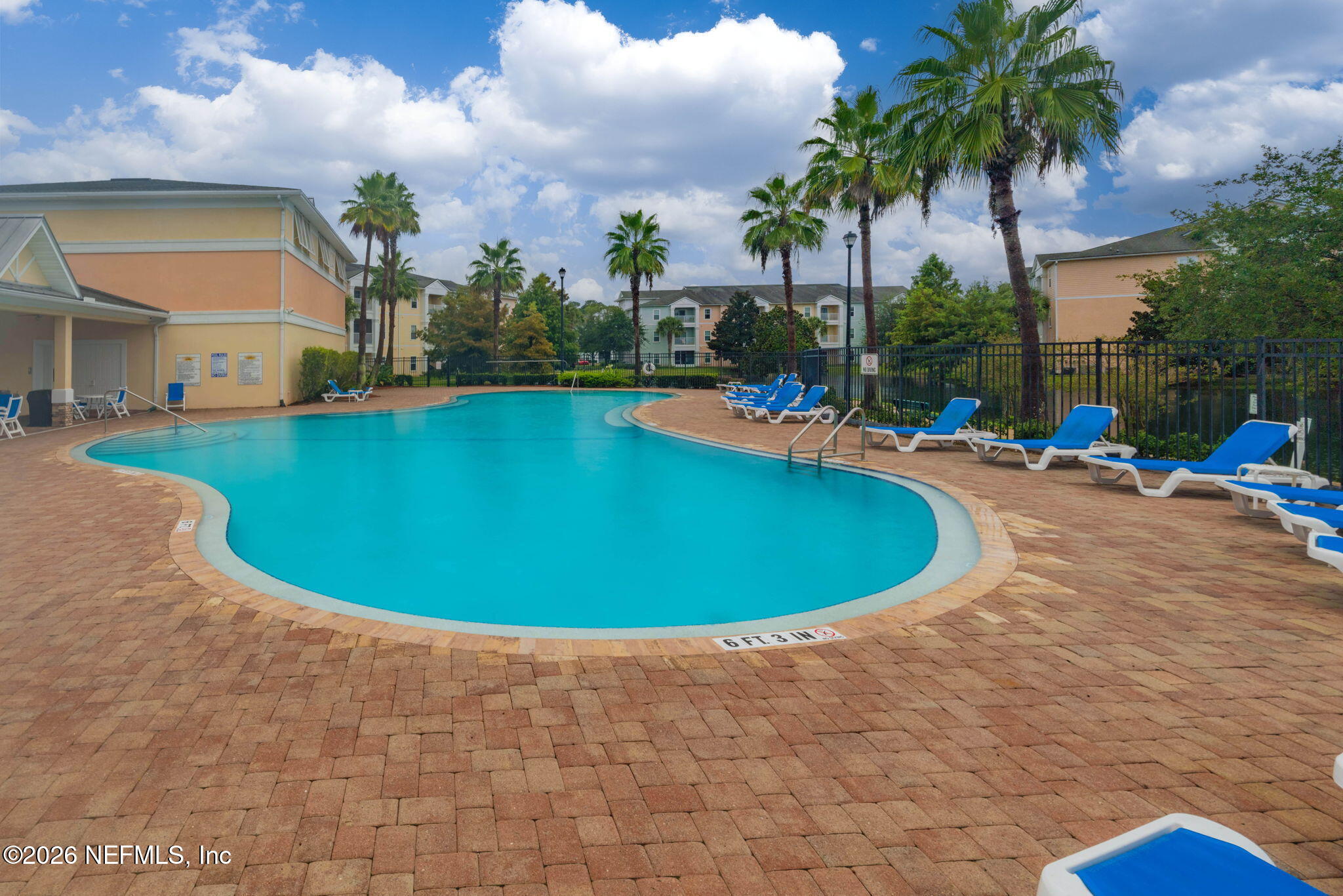 8218 GREEN PARROT Road 105