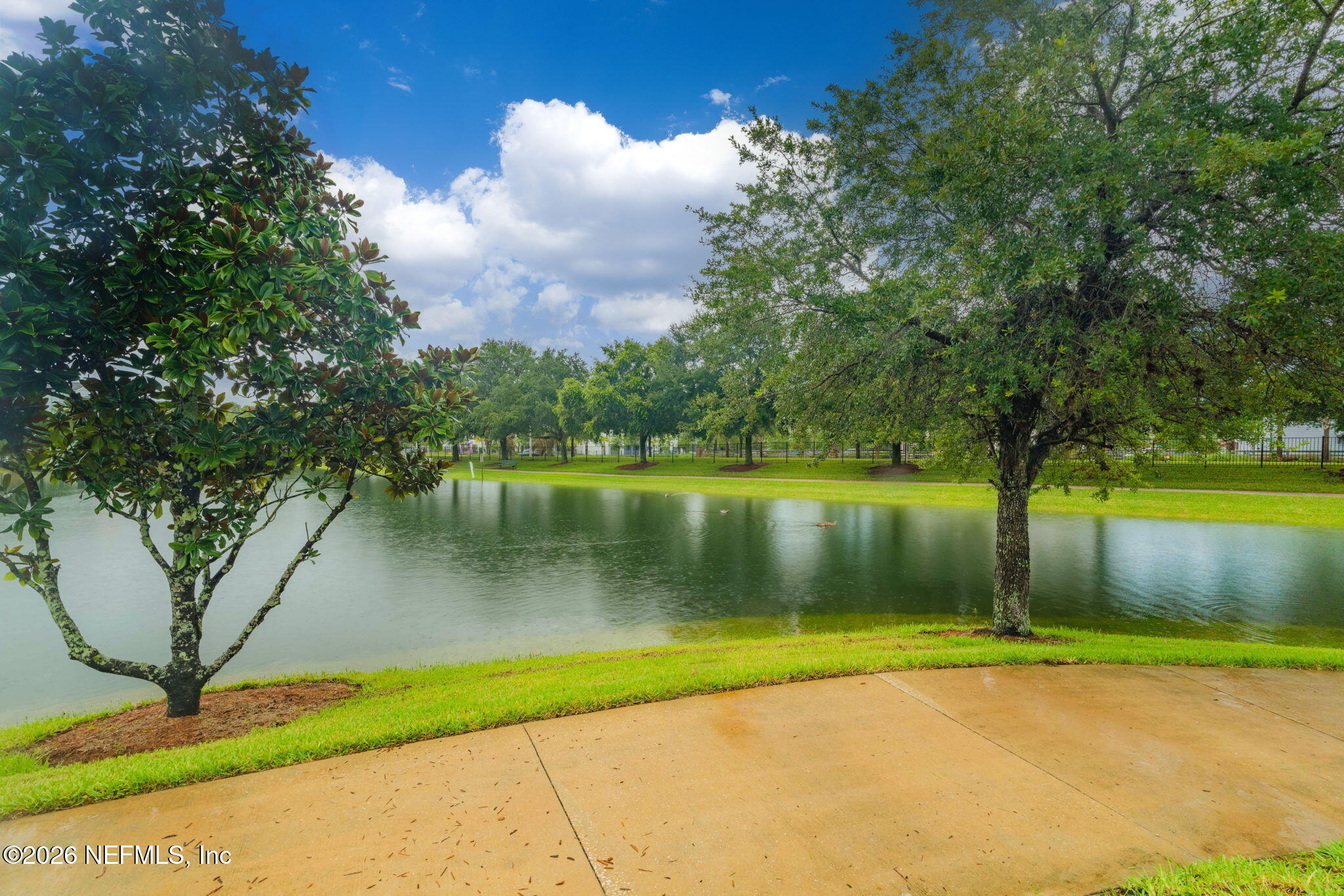 8218 GREEN PARROT Road 105