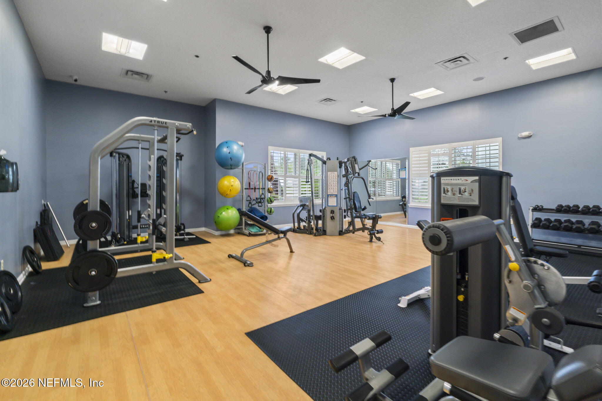 8218 GREEN PARROT Road 105