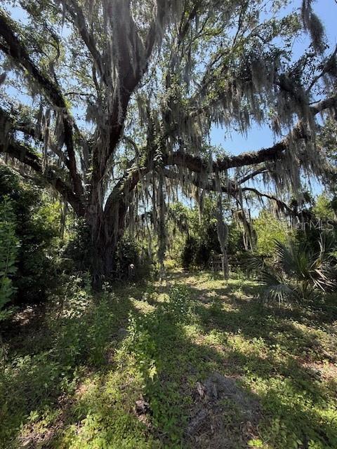 17918 NE US HIGHWAY 301