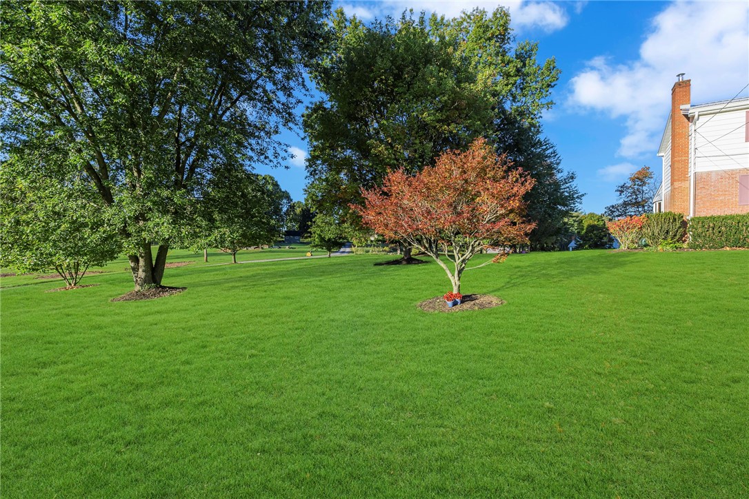149 Rogers Dr