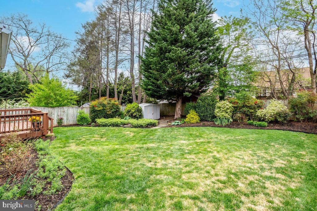 33 DUNMORE ROAD